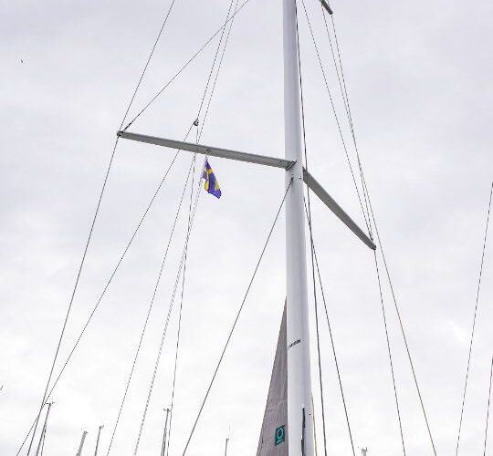 Moody DS41, PARASOL 8