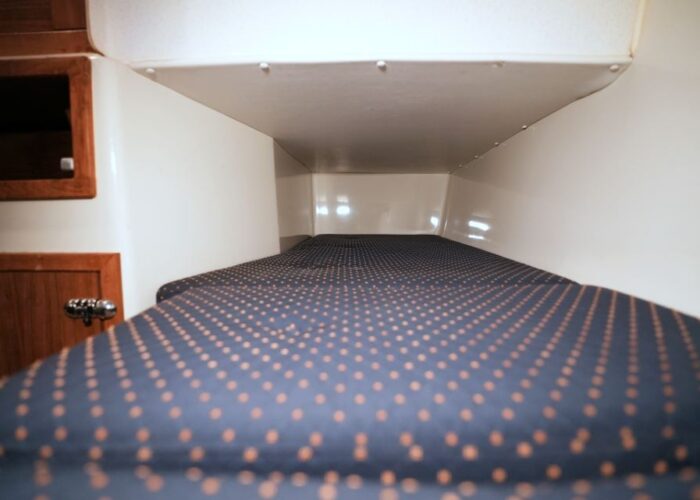 Minor Offshore 27, ELEPHANTEN 40